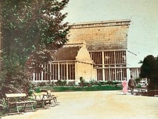 SUÈDE Göteborg Jardin Serre 1902 Photo Stereo Gust. A. Jonson Vintage Citrate