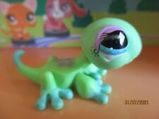 Petshop Lézard #530