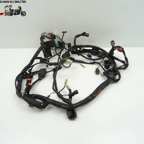 Faisceau électrique suzuki - ,