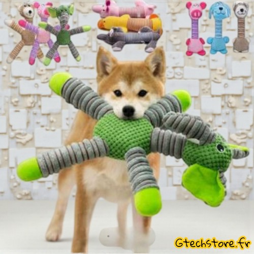 Jouet chien indestructible - chien,