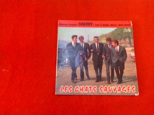 Disque tours les chats - disque, 45