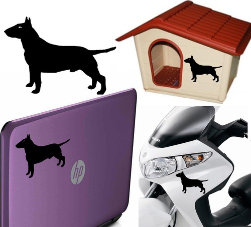 Bull terrier autocollant - terrier,, en