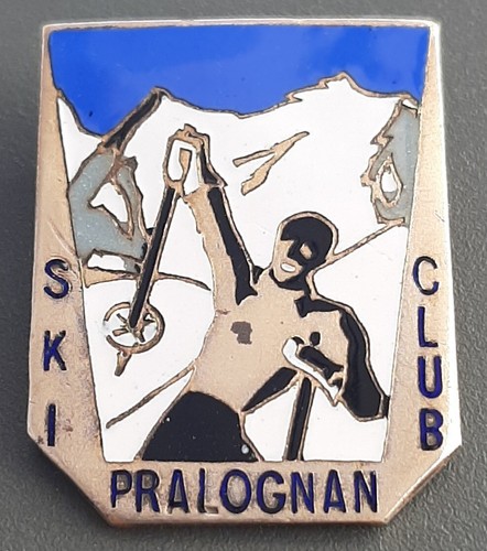 Insigne badge ski club - ski,