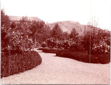 Espagne, Malaga, un jardin de roses Vintage print.  Tirage citrate  8x10  