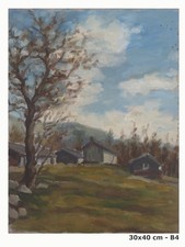 Paysage Des Alpes