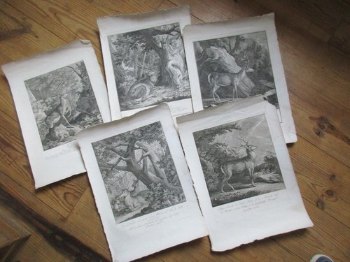 Lot gravures ridinger - x5,