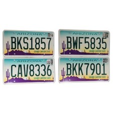 ARIZONA : Plaque immatriculation US 30x15cm plate