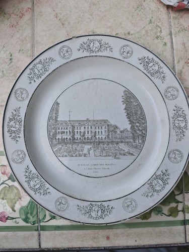 Assiette faïence creil - assiette, de