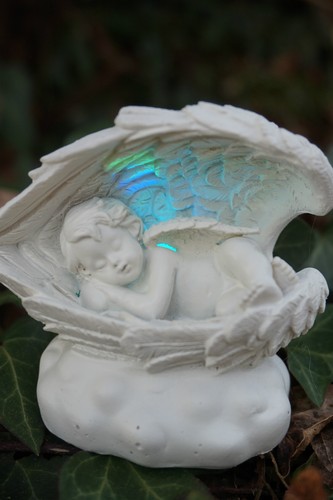 P888 350b ange blanc - ange,