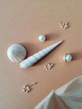 Coquillage ancien décoratif