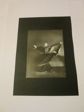 PHOTO ART PRINT VINTAGE ART