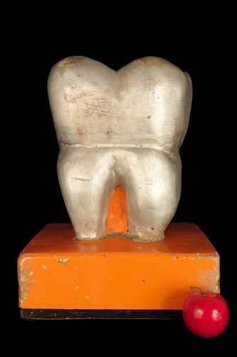 Ancienne sculpture une - d'une, dent