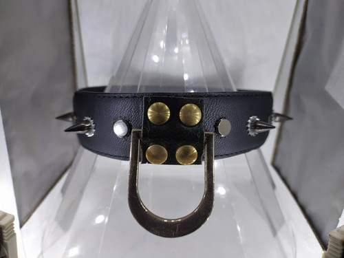 Collier ras cou anneau et - collier, de