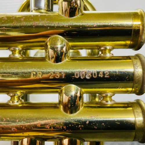 Nikkan 231 cornet gold - cr-231,
