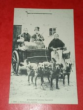 CPA - Belgique - Attelage de chiens flamand