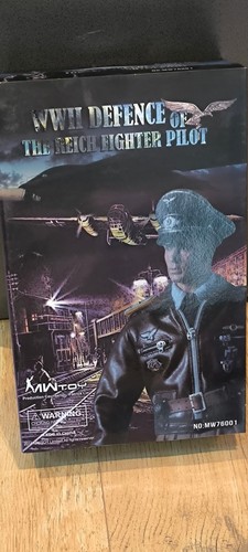 Action figure king - 1/6,