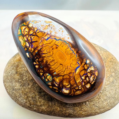 Opale boulder noix australie - noix,