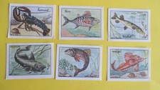 Les poissons lot 6 images écolier éditions éducatives série B (  5,5 cm / 7 cm )