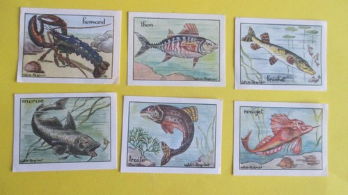 Les poissons lot images - 6,
