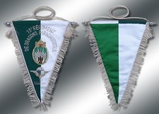 13 RDP - DRAGONS - PARACHUTISTES -  3ème ESCADRON - FANION SEGALEN CANNETILLE