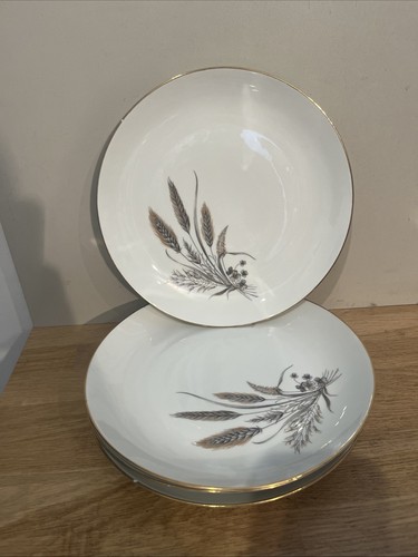 Lot assiettes porcelaine - assiettes,