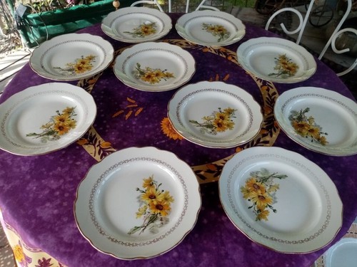 Assiettes plates anciennes - 10,