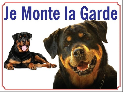 Attention chien je - au,