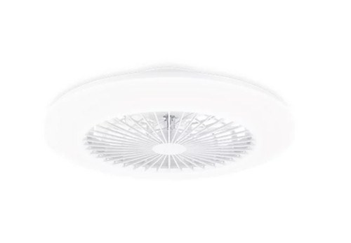 Ventilateur avec plafonnier