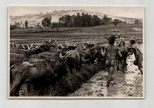 Photographie argentique