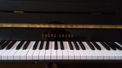 Young chang upright - young,