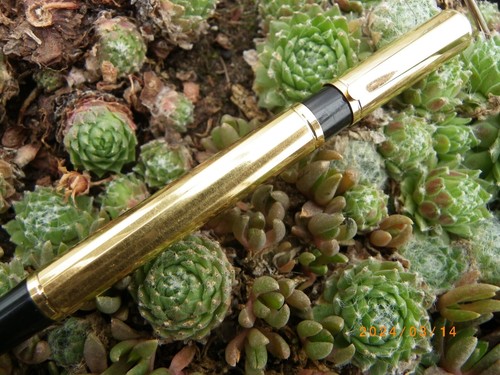Ancien stylo roller waterman - _,