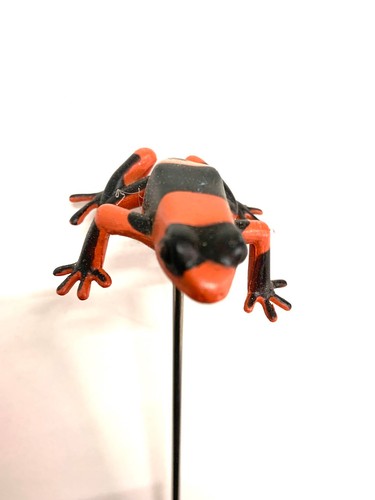Grenouille pour flipper - ***,