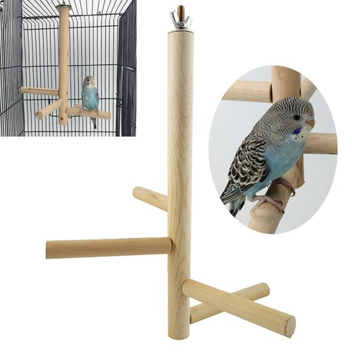 Accessoires cage oiseaux - accessoires,