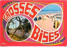 Carte Postale - 62 - Stella
