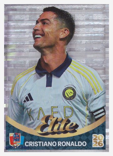 Panini fifa 365 2026 - fifa,