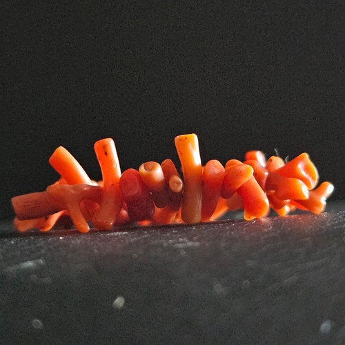 Très petit bracelet corail
