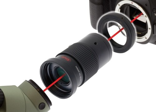 Kowa vari focal photo - kowa, vari-focal