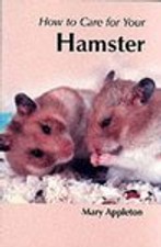 How to Care for Your Hamster