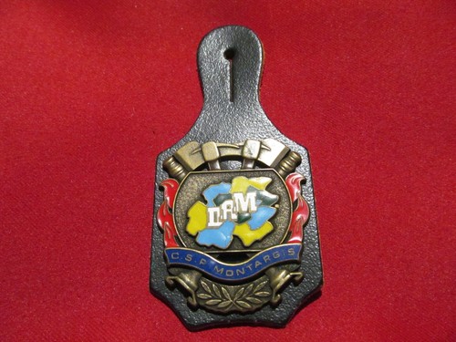 Insigne pucelle sapeurs - insigne,