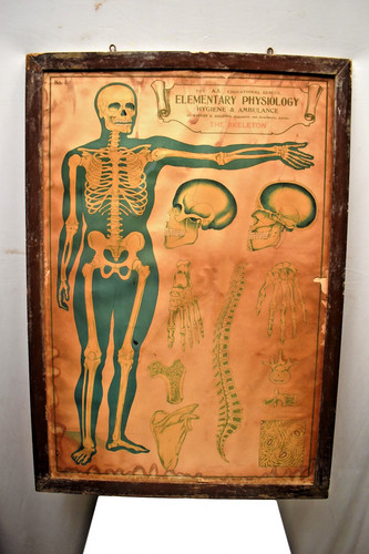 Affiche médicale vintage - affiche,