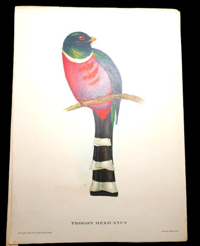 Lithographie ancienne john - lithographie,