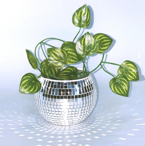 Boule disco plante - plante,vase,