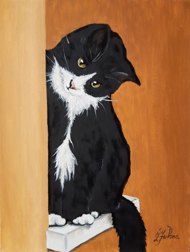 Peinture chat noir - , blanc