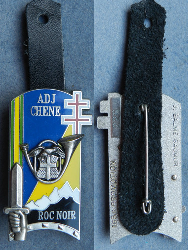 Chene adjudant 163 - adjudant,, 163°