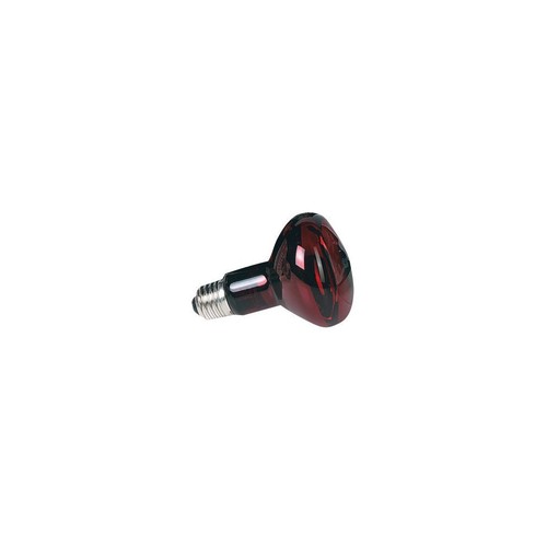 100 zoo med lampe spot - med,