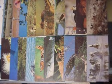 CARTES POSTALES NESTLE MERVEILLES MONDE - 44 - entre 178 et 337