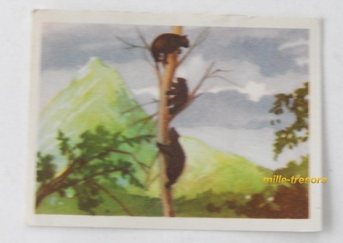 Image chromo chocolat - chromo,