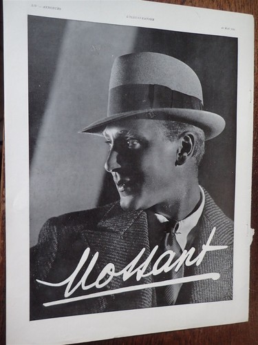 Chapeau mossant meubles - +,