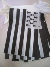GUIRLANDE 6 mètres 20 DRAPEAUX BRETAGNE 21x15 cm - DRAPEAU BRETON 15 x 21 cm - N