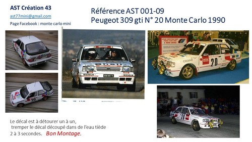 Decal peugeot 309 - 1,
